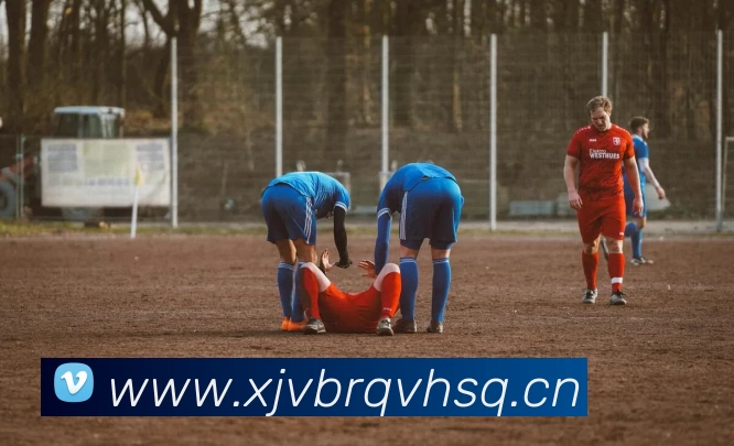 多媒体互动体验